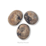 Pyrite Palm Stone - MystiqHouse