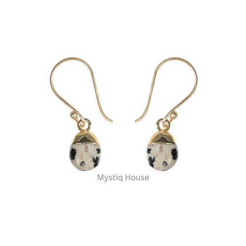 Dalmation Jasper Drop Earring Img