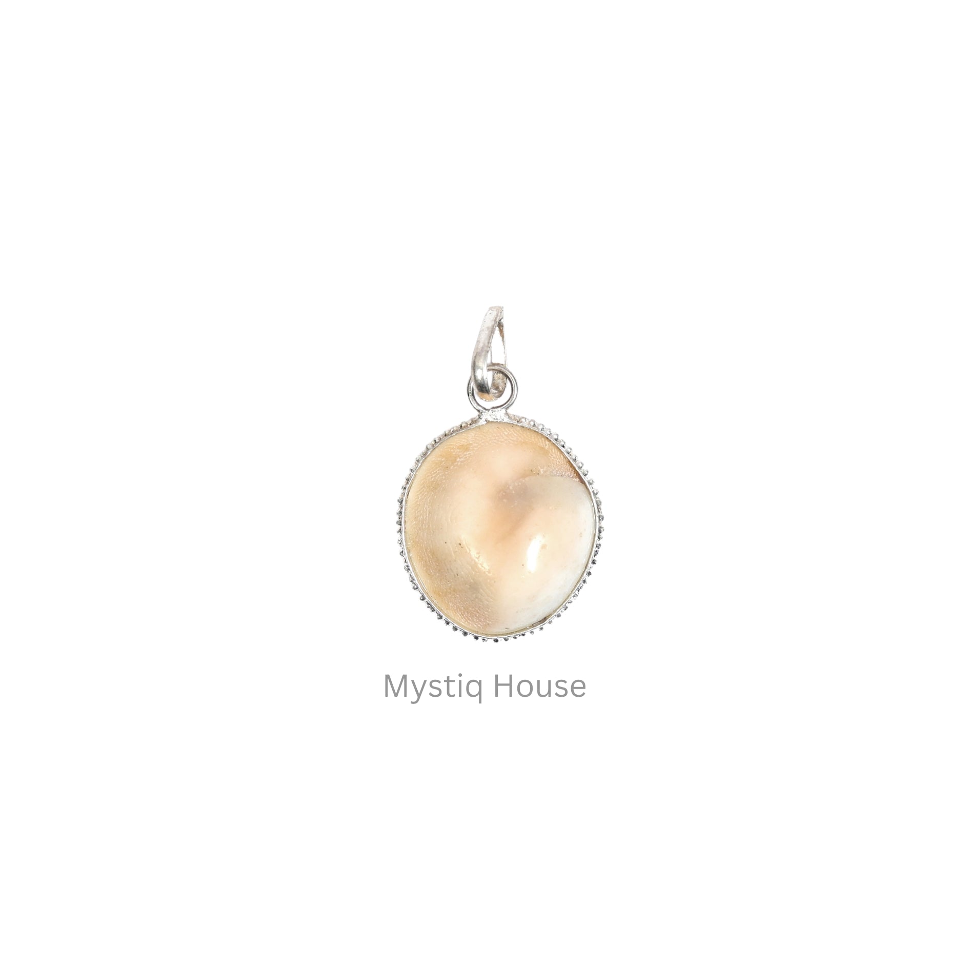 Gomti Chakra Crystal Pendant