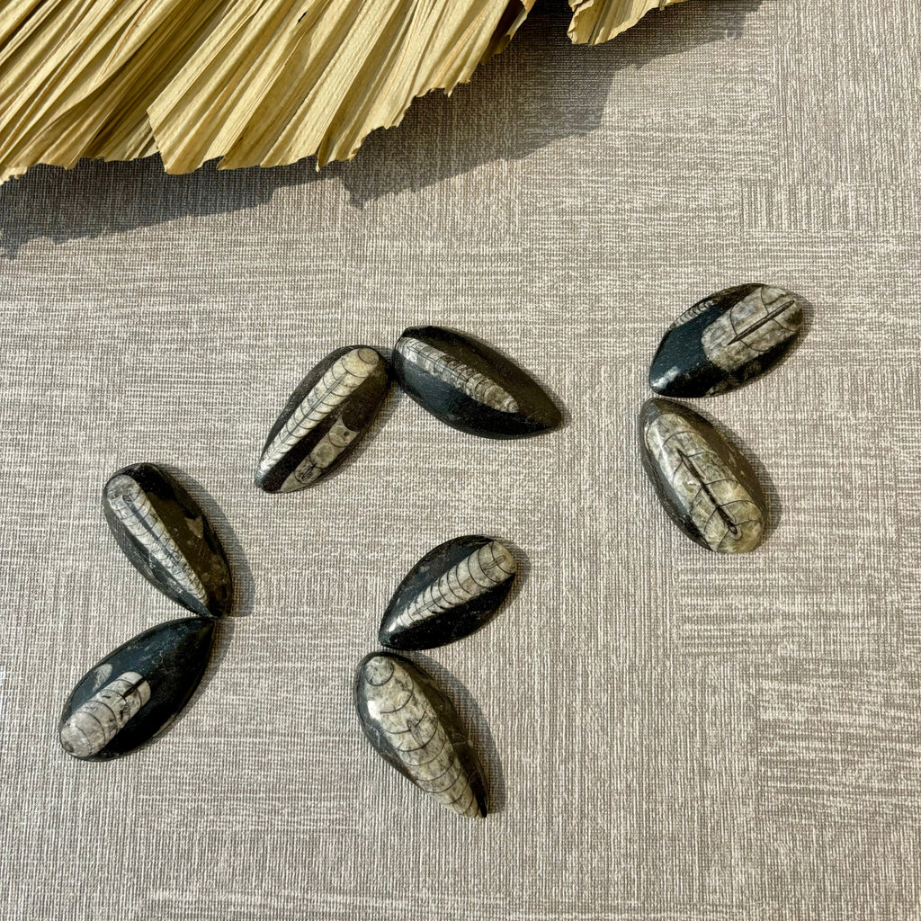Kuber Finance Stone