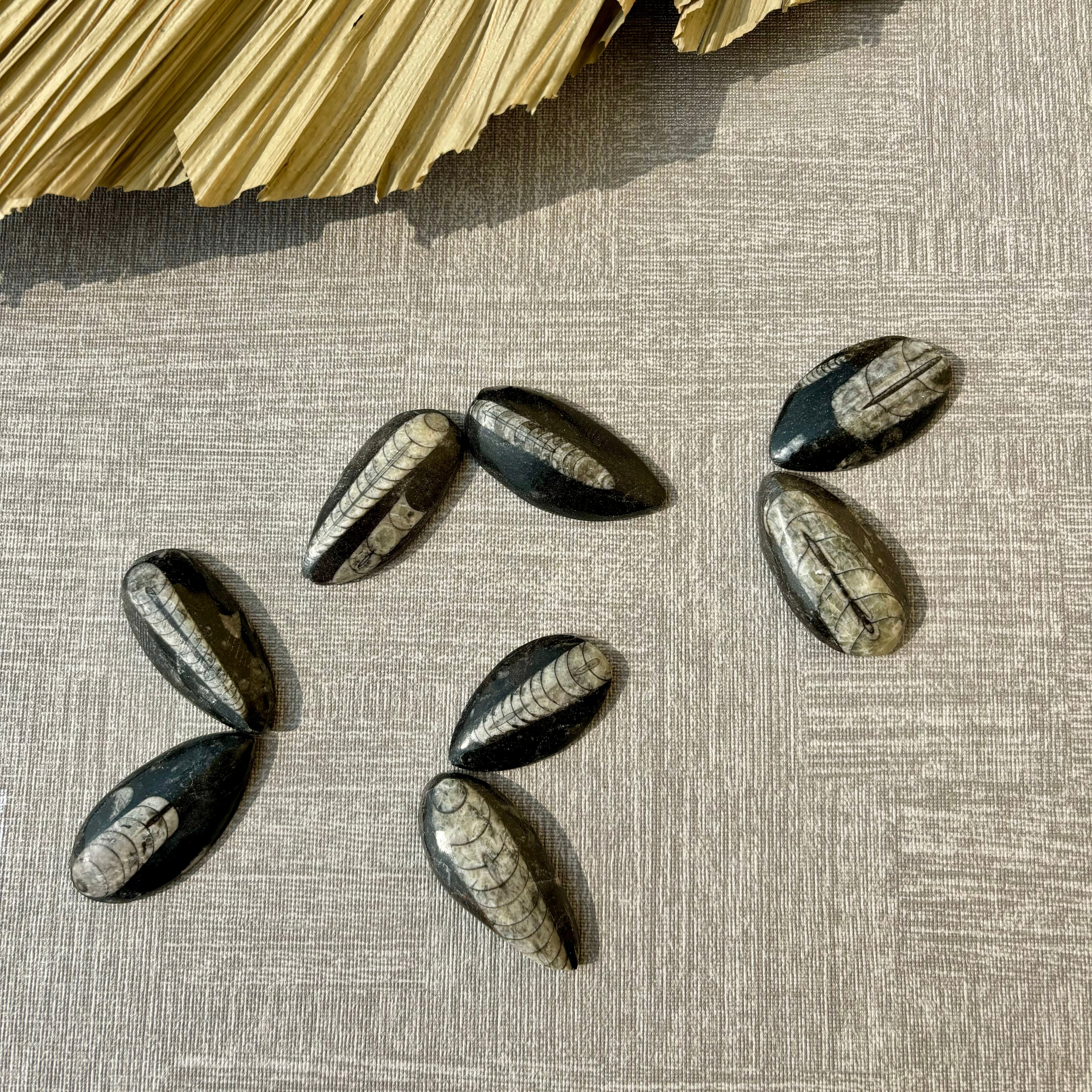 Kuber Finance Stone