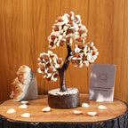 Gomti Rudraksha Vastu Tree