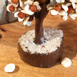Gomti Rudraksh Tree Mseal