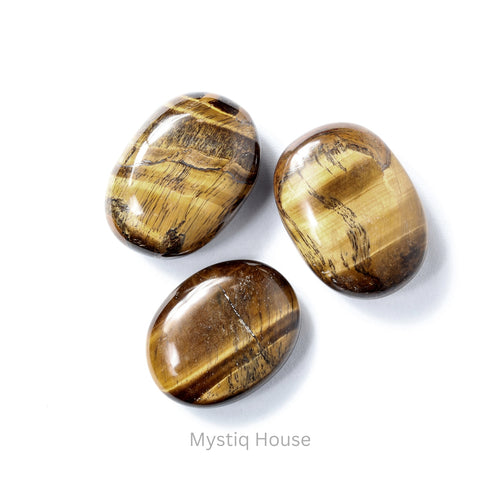 Tiger Eye Palm Stone Img