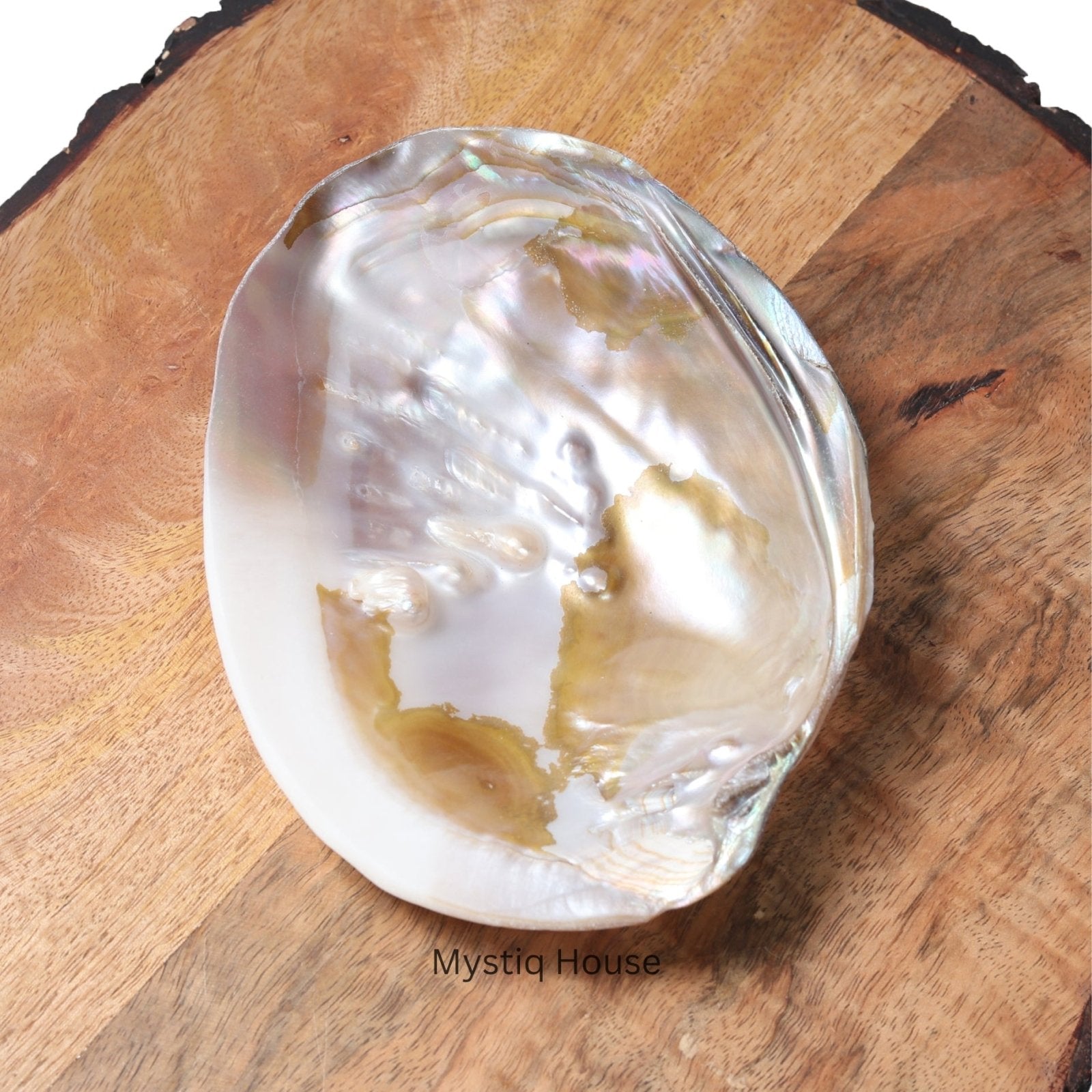 Abalone Shell - MystiqHouse