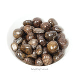Bronzite Tumble - MystiqHouse