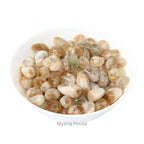 Citrine Tumble - MystiqHouse