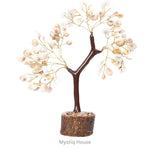 Gomti Chakra Tree 100B Mseal - MystiqHouse