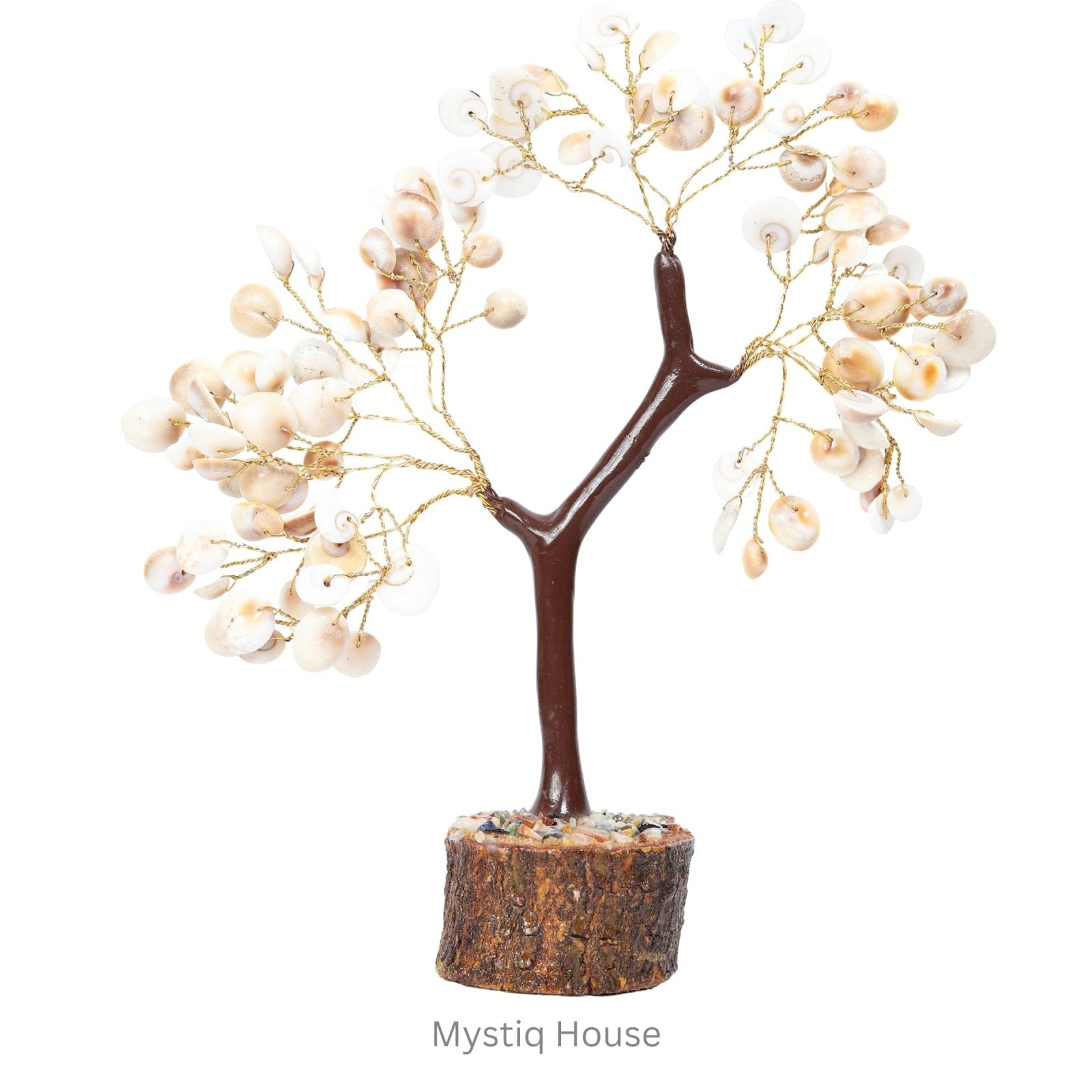 Gomti Chakra Tree 100B Mseal - MystiqHouse