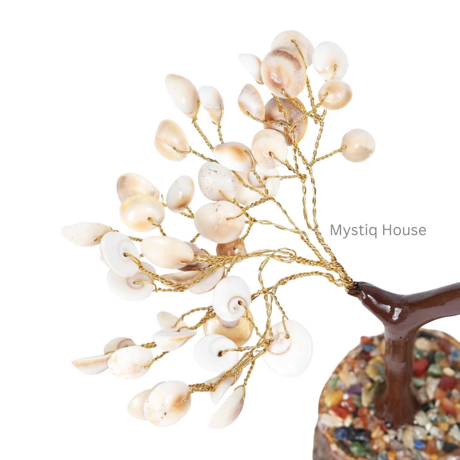 Gomti Chakra Tree 100B Mseal - MystiqHouse