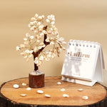 Gomti Chakra Tree 100B Mseal - MystiqHouse