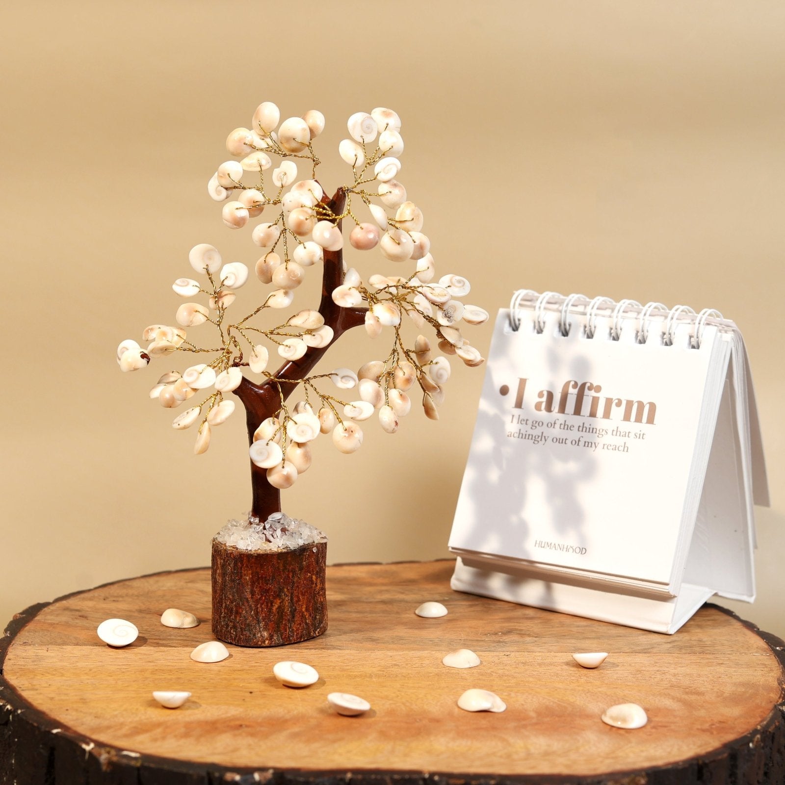 Gomti Chakra Tree 100B Mseal - MystiqHouse
