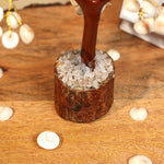 Gomti Chakra Tree 100B Mseal - MystiqHouse