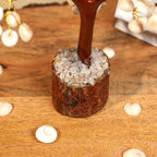 Gomti Chakra Tree 100B Mseal - MystiqHouse