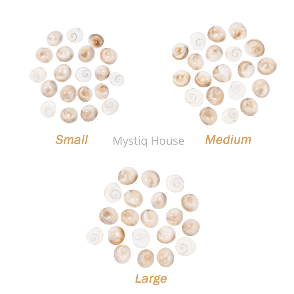 Gomti Chakra - MystiqHouse