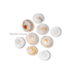 Gomti Chakra - MystiqHouse
