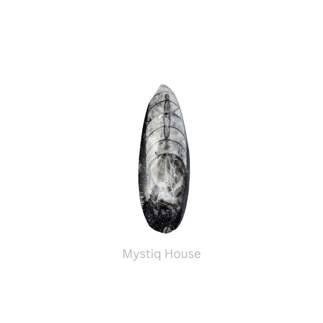 Kuber Finance Stone - MystiqHouse