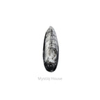 Kuber Finance Stone - MystiqHouse