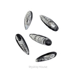 Kuber Finance Stone - MystiqHouse