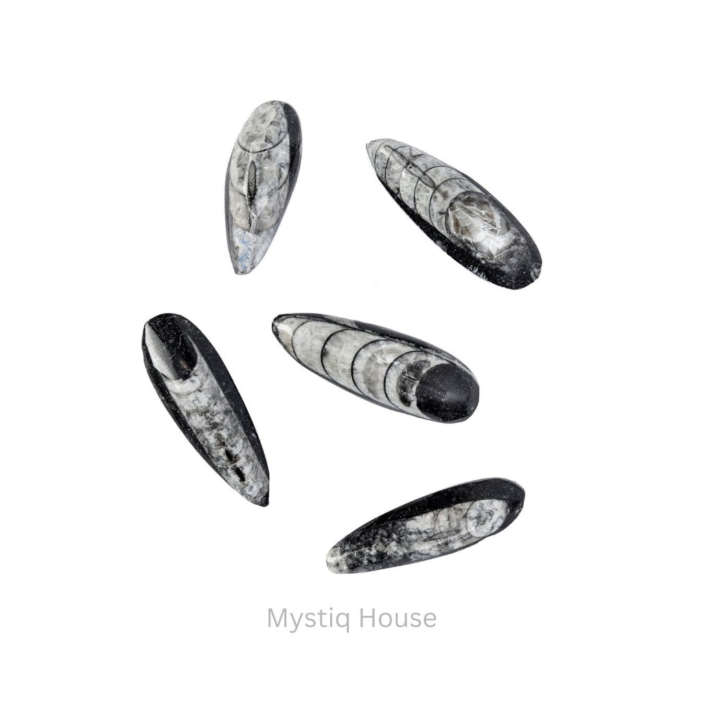 Kuber Finance Stone - MystiqHouse