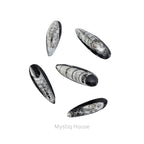 Kuber Finance Stone - MystiqHouse