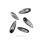 Kuber Finance Stone - MystiqHouse