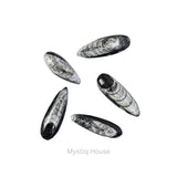 Kuber Finance Stone - MystiqHouse