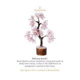 Rose Quartz Pearl Mseal Tree - MystiqHouse